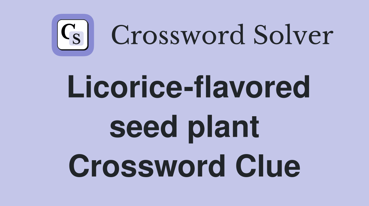 Licorice-flavored seed plant Crossword Clue