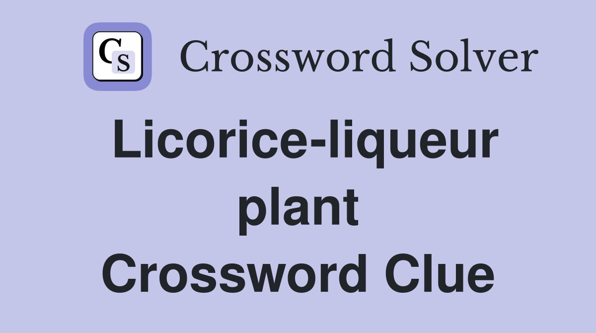 Licorice-liqueur plant Crossword Clue