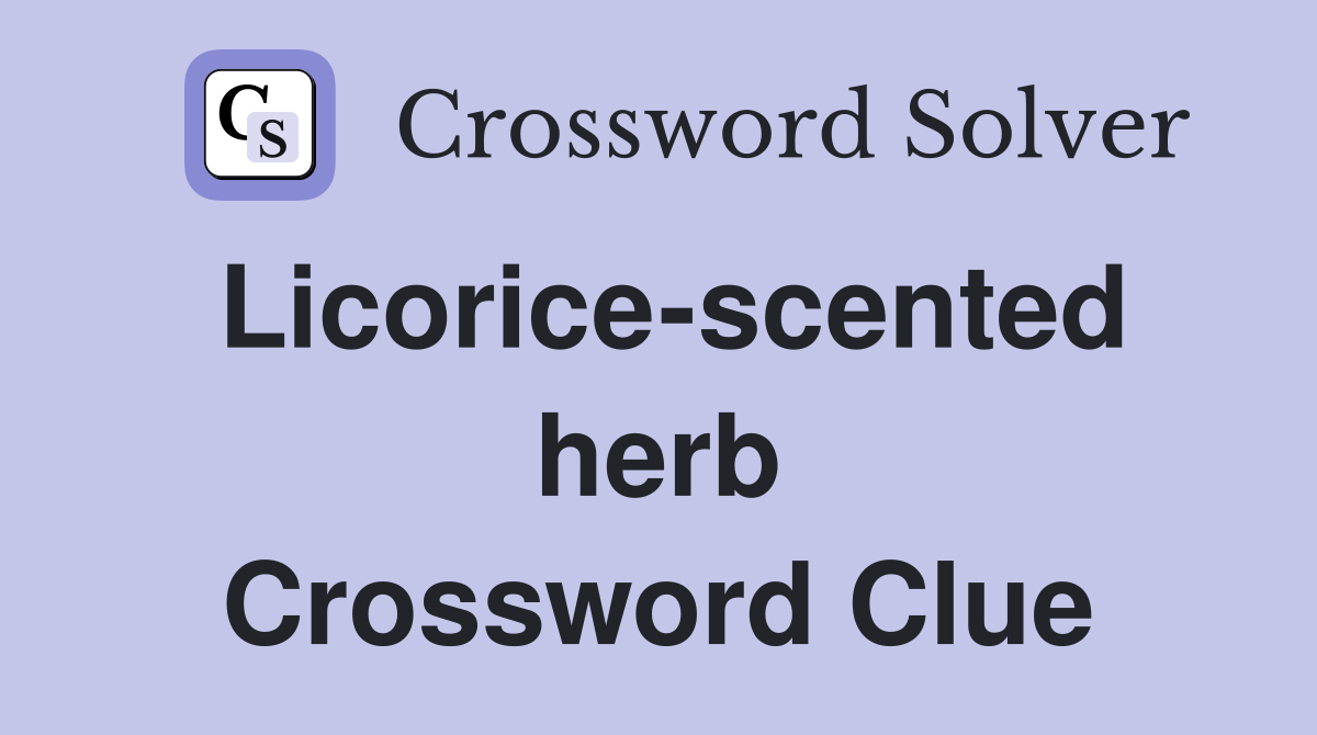 Licorice-scented herb Crossword Clue