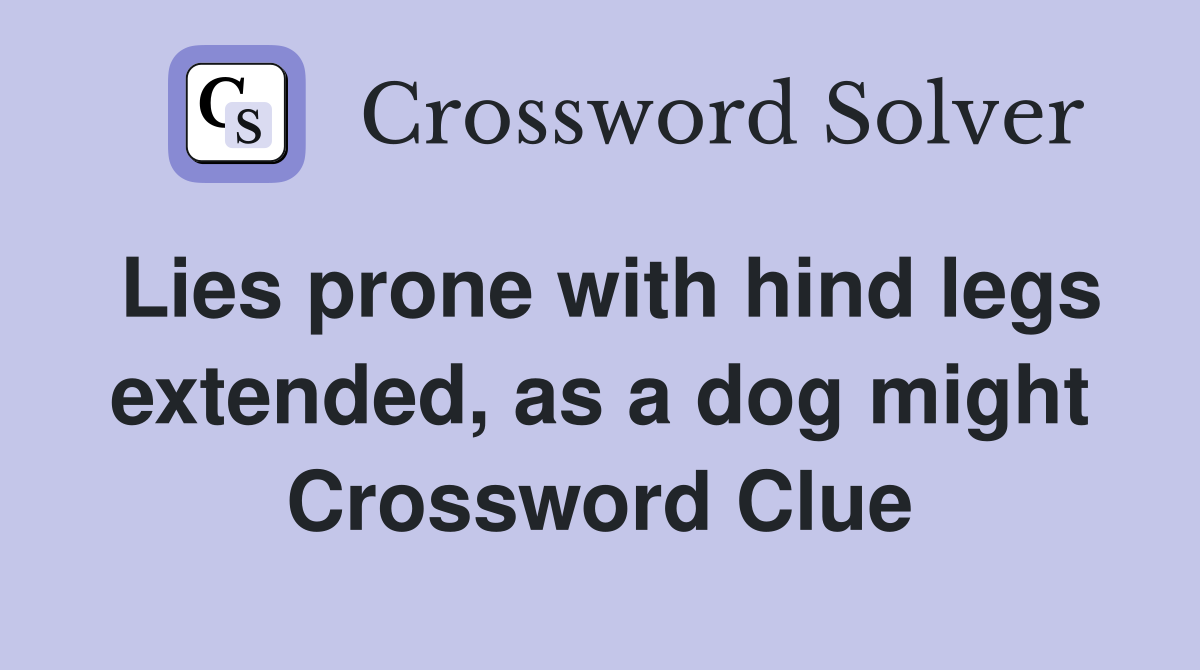 Lies prone with hind legs extended, as a dog might Crossword Clue