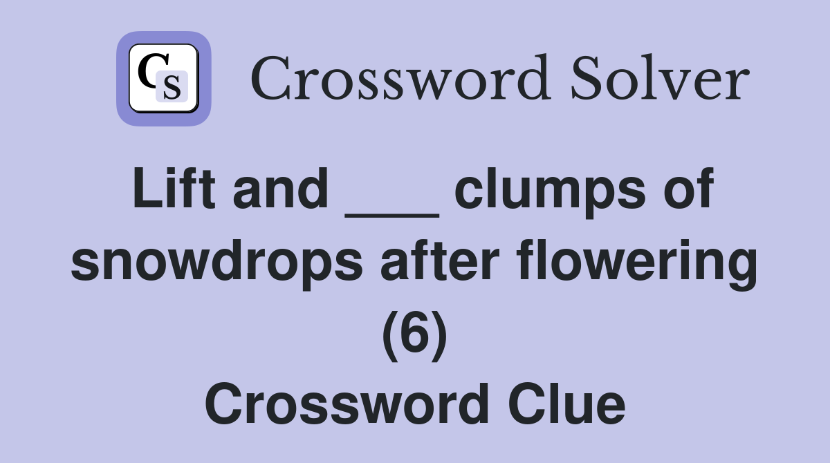 Lift and ___ clumps of snowdrops after flowering (6) Crossword Clue