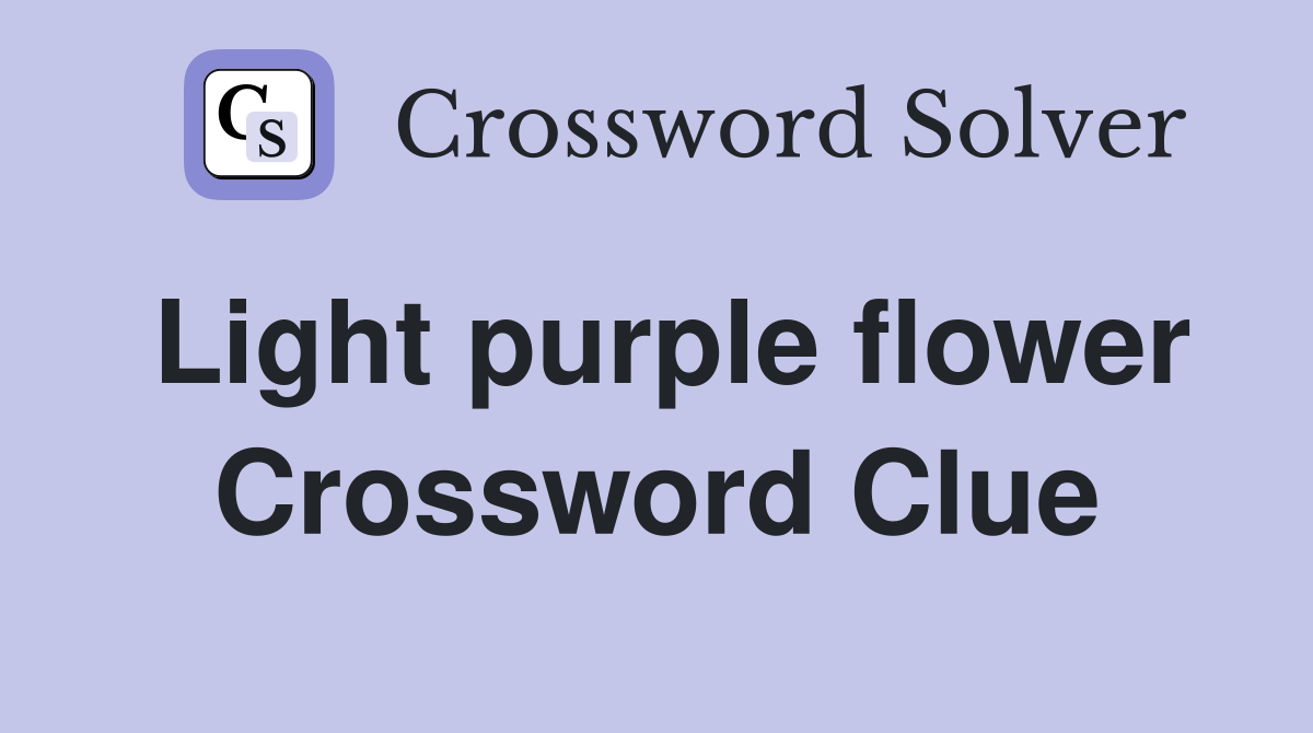 Light purple flower Crossword Clue