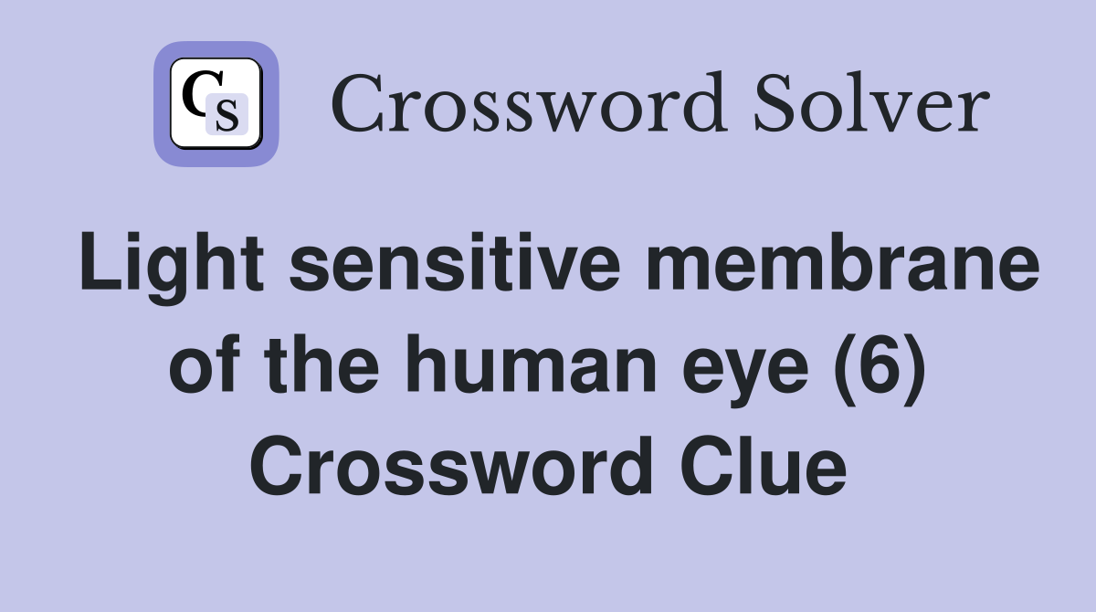 Light sensitive membrane of the human eye (6) Crossword Clue