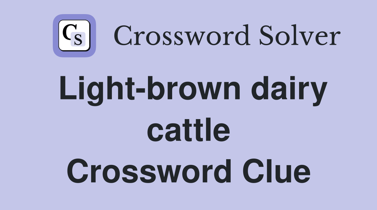 Light-brown dairy cattle Crossword Clue