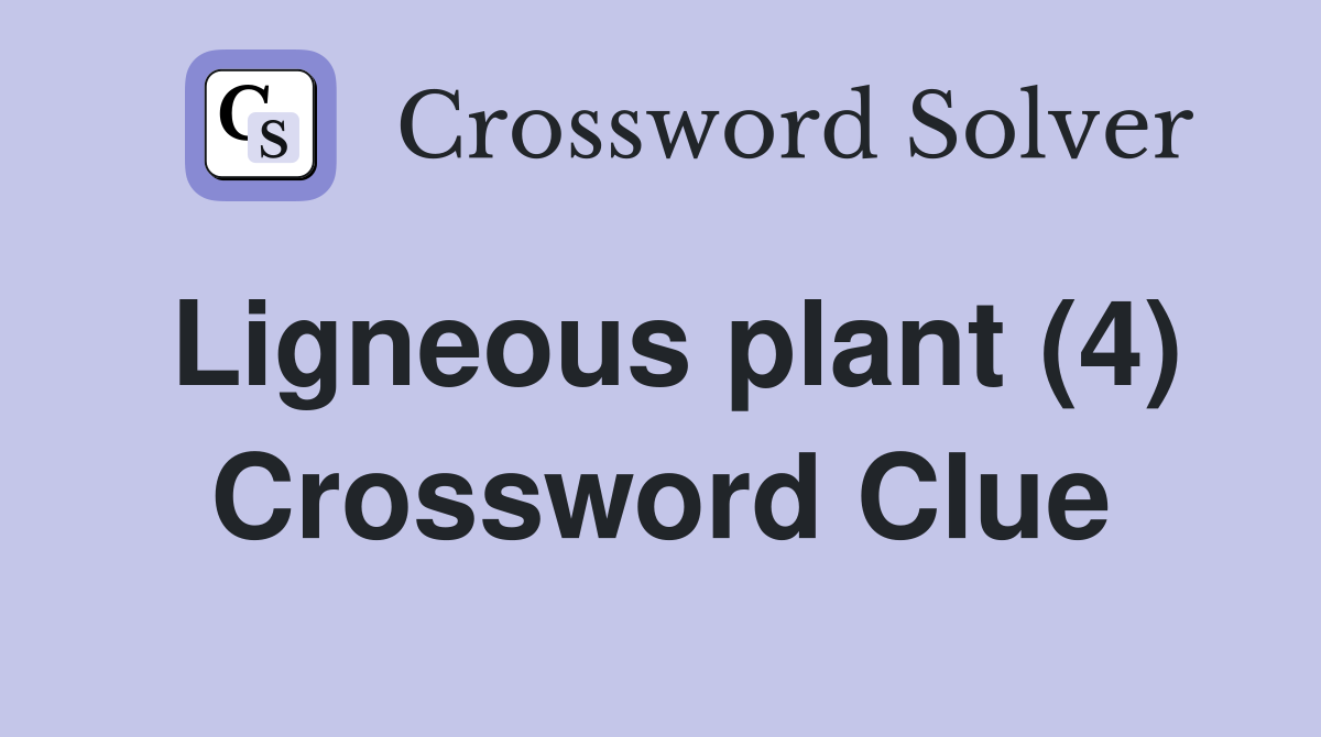 Ligneous plant (4) Crossword Clue