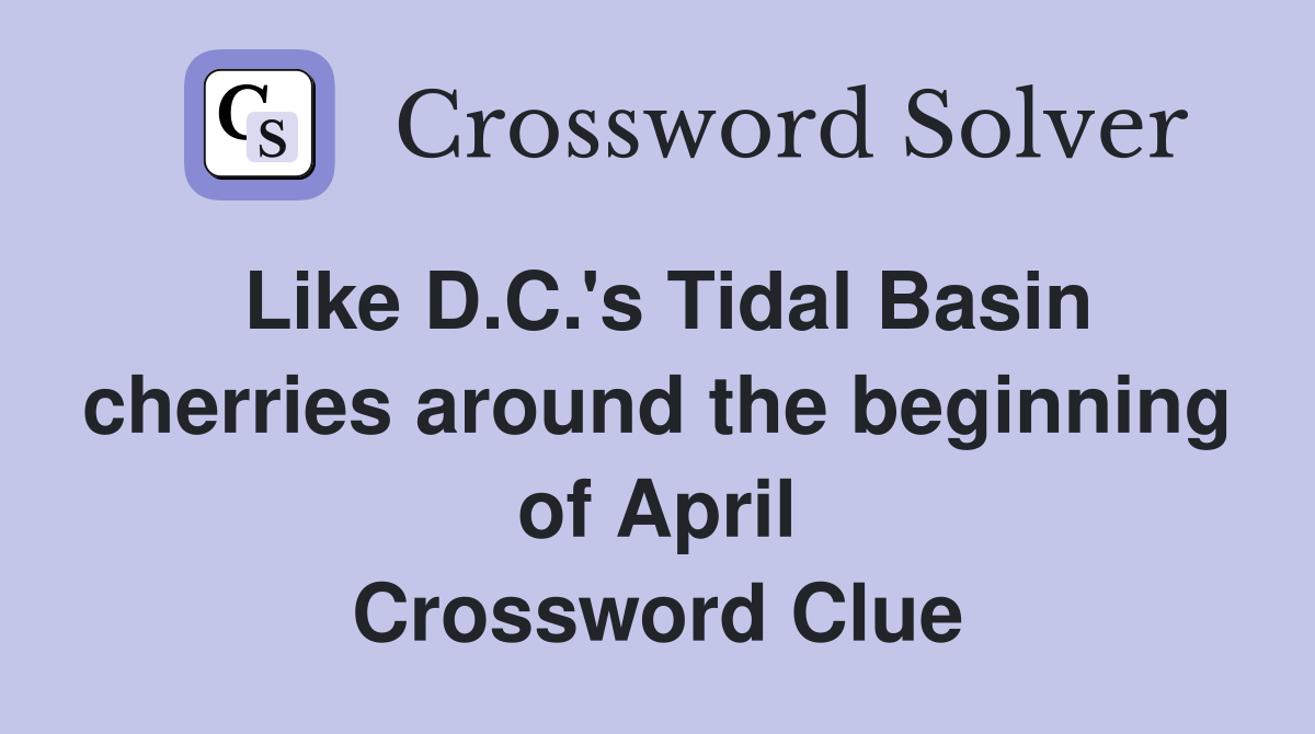 Like D.C.'s Tidal Basin cherries around the beginning of April Crossword Clue