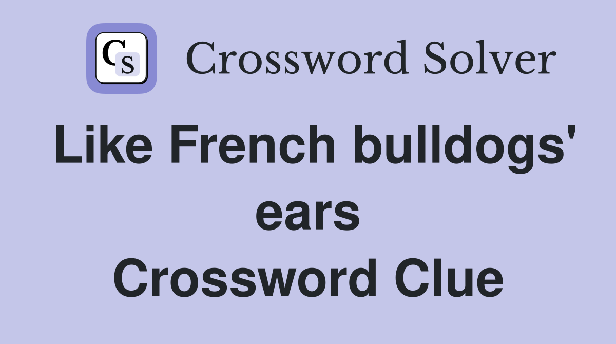 Like French bulldogs' ears Crossword Clue