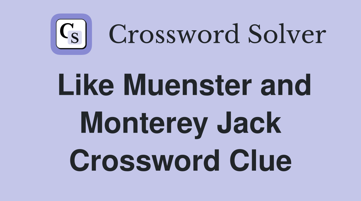 Like Muenster and Monterey Jack Crossword Clue