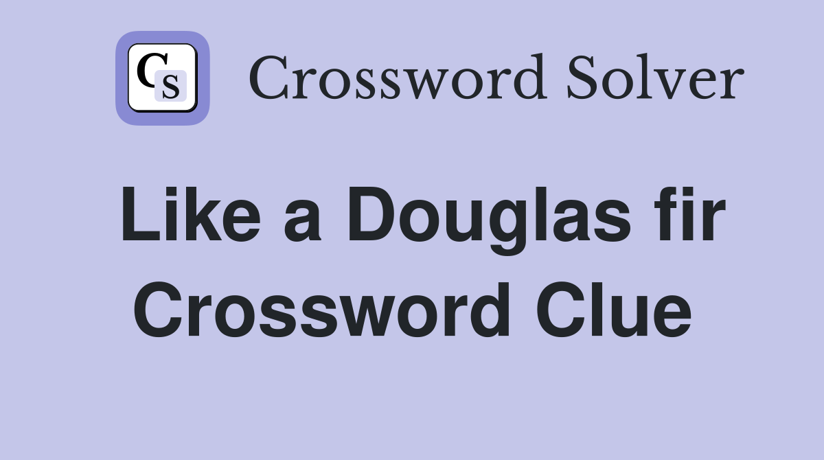 Like a Douglas fir Crossword Clue