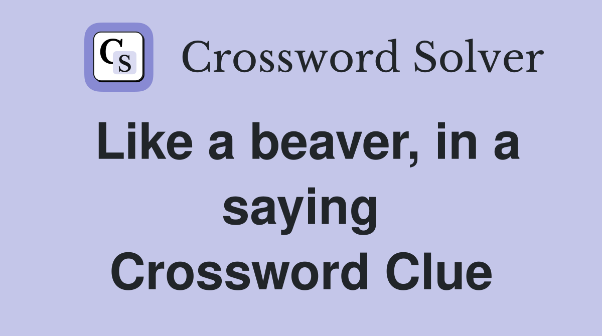 Like a beaver, in a saying Crossword Clue