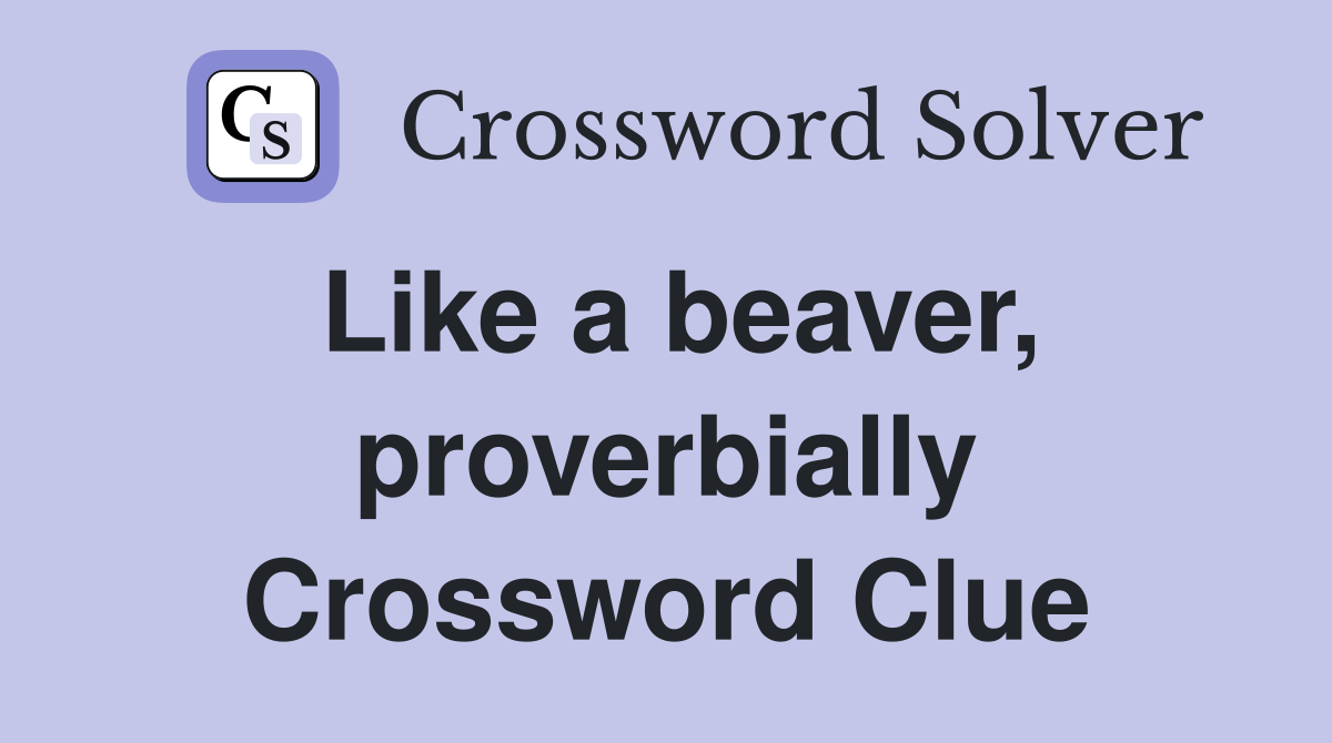 Like a beaver, proverbially Crossword Clue