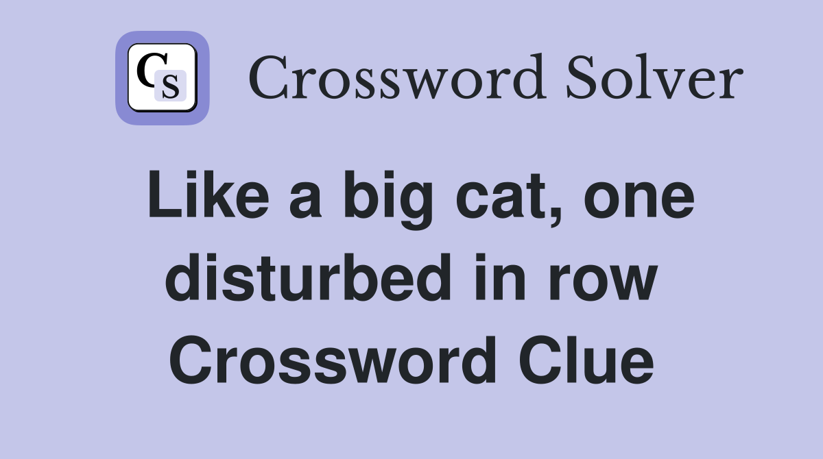Like a big cat, one disturbed in row Crossword Clue