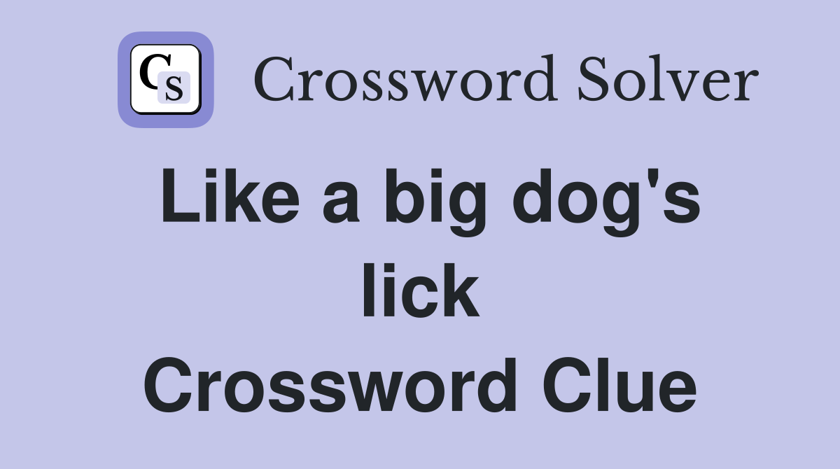 Like a big dog's lick Crossword Clue