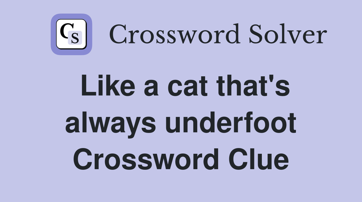 Like a cat that's always underfoot Crossword Clue
