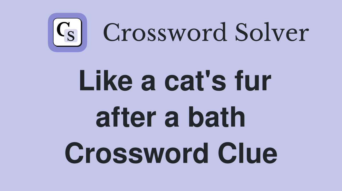 Like a cat's fur after a bath Crossword Clue