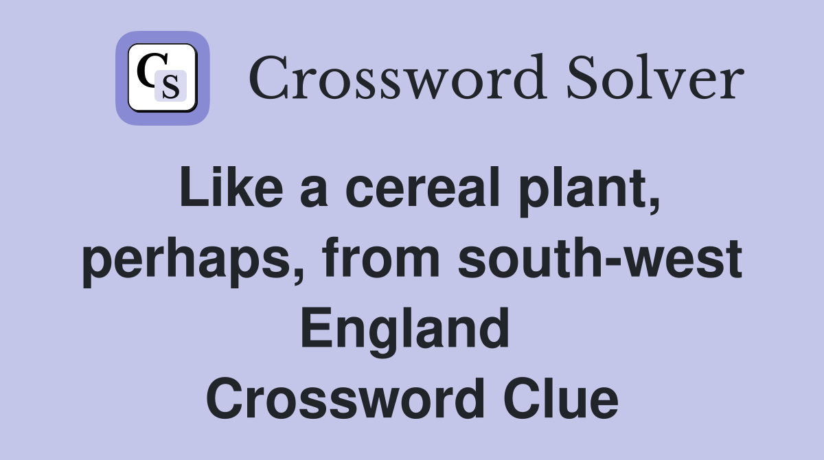 Like a cereal plant, perhaps, from south-west England  Crossword Clue