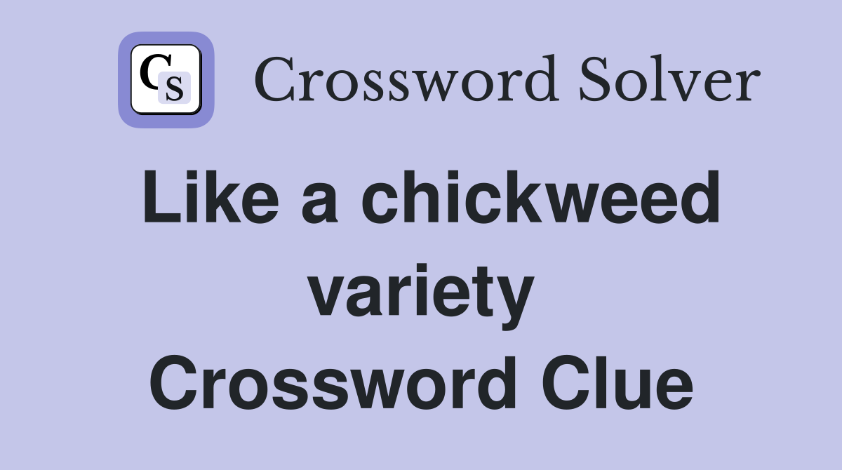 Like a chickweed variety Crossword Clue