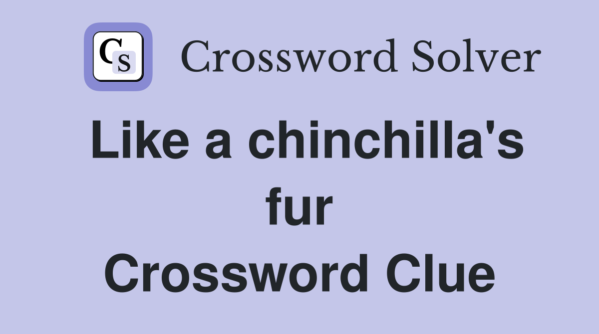Like a chinchilla's fur Crossword Clue