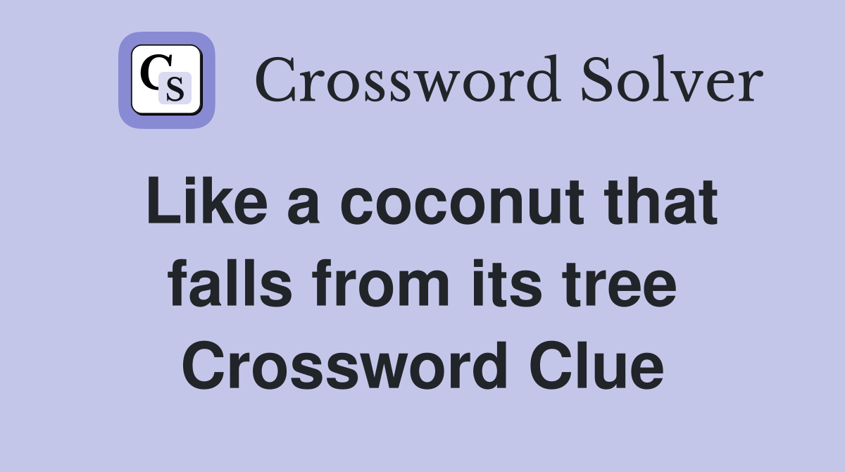 Like a coconut that falls from its tree Crossword Clue