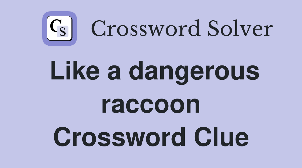 Like a dangerous raccoon Crossword Clue