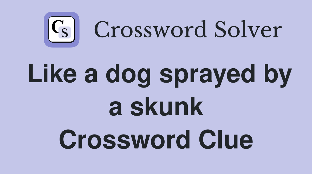 Like a dog sprayed by a skunk Crossword Clue