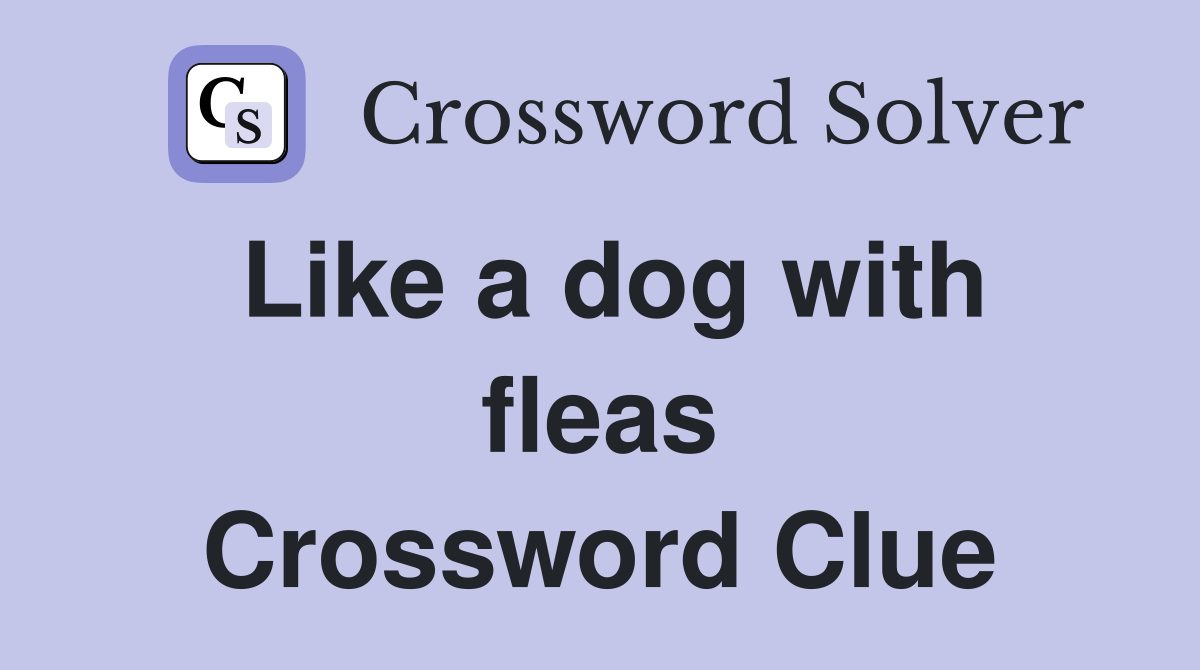 Like a dog with fleas Crossword Clue