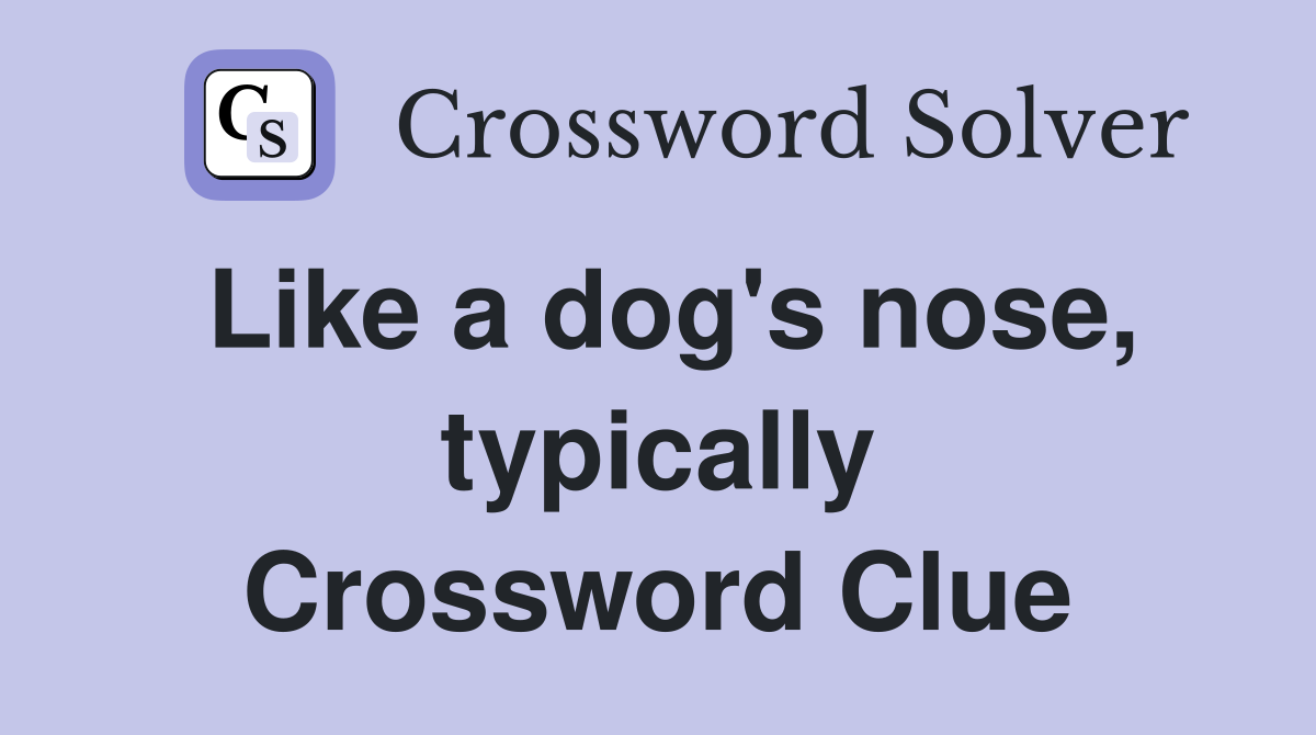 Like a dog's nose, typically Crossword Clue