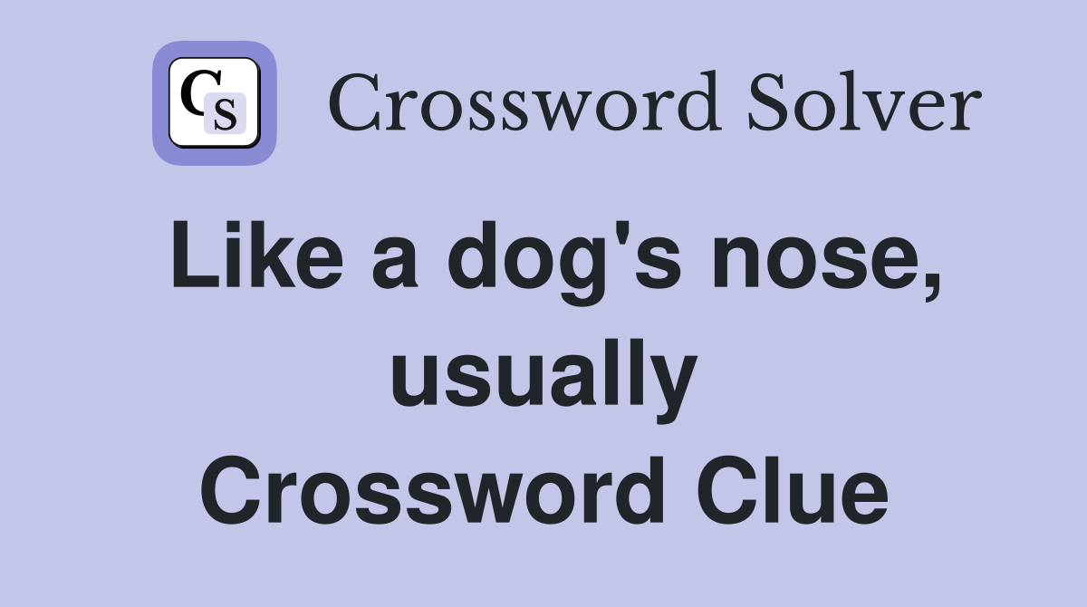 Like a dog's nose, usually Crossword Clue