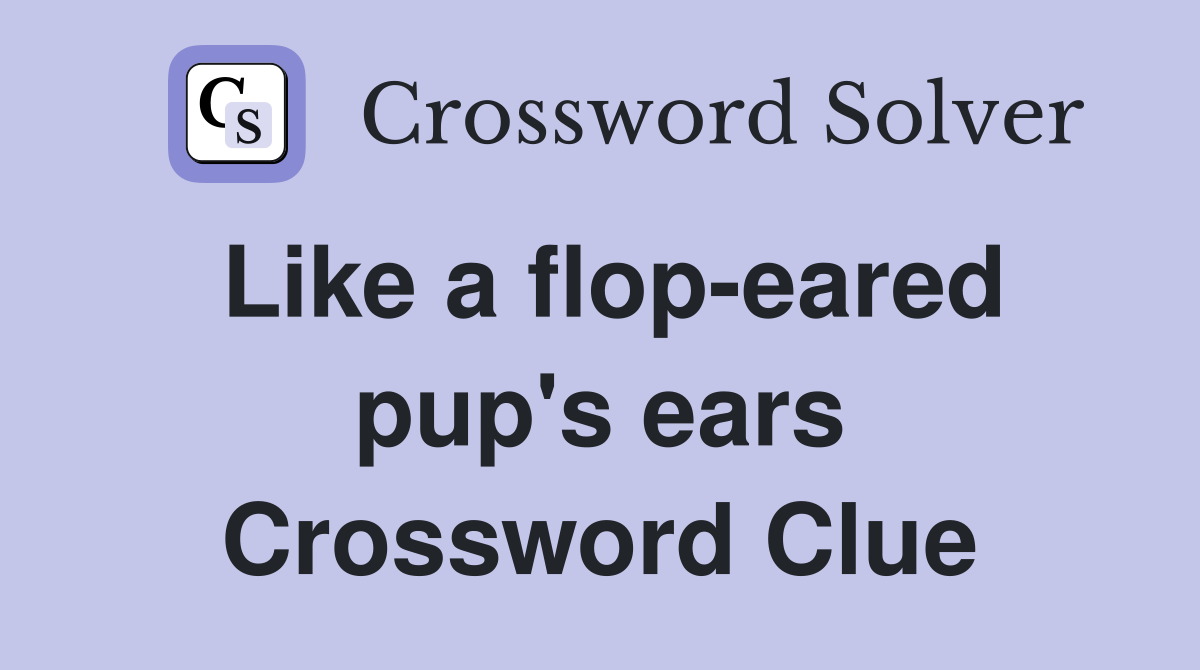 Like a flop-eared pup's ears Crossword Clue