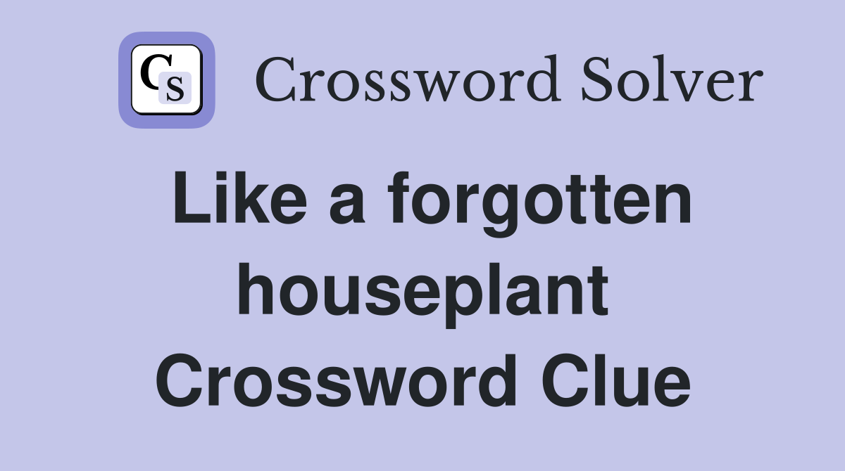 Like a forgotten houseplant Crossword Clue