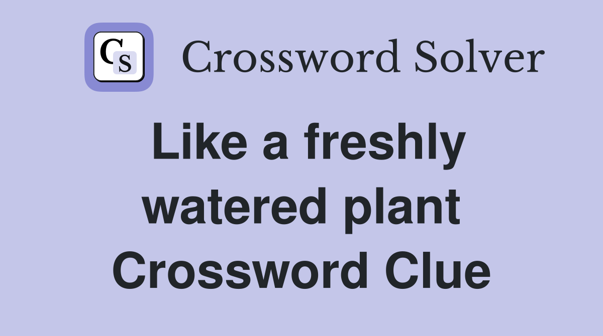 Like a freshly watered plant Crossword Clue
