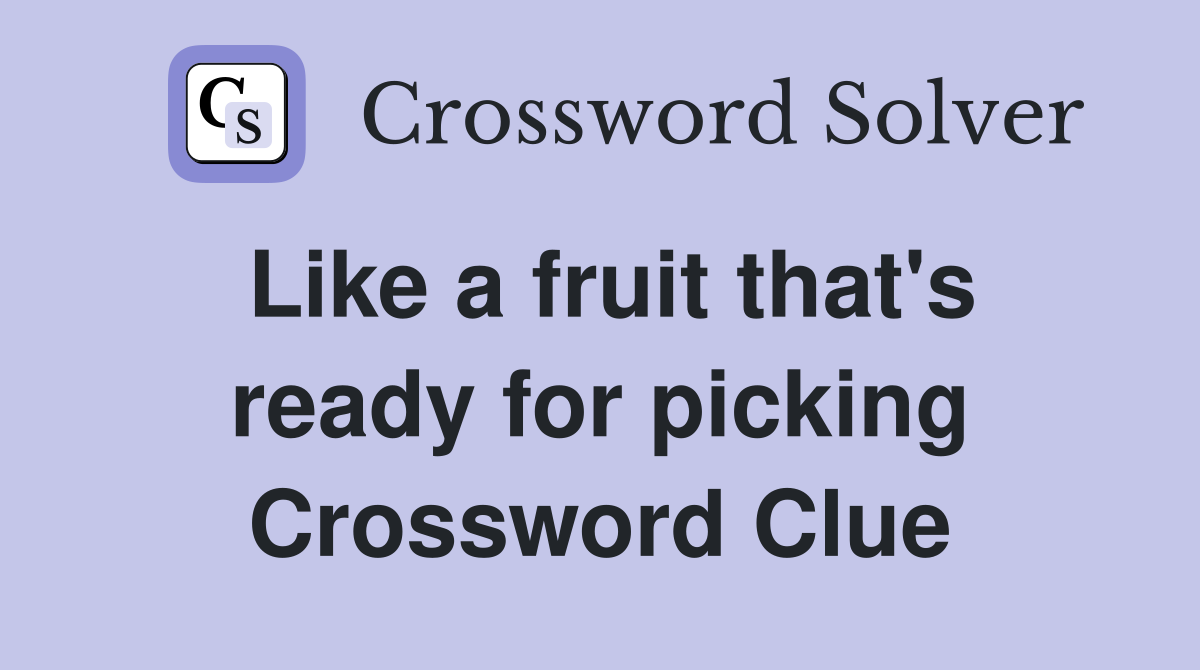 Like a fruit that's ready for picking Crossword Clue