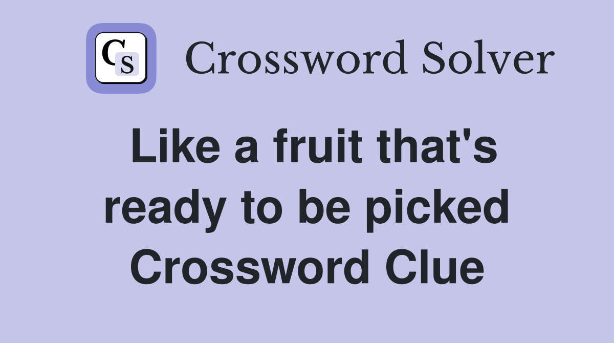 Like a fruit that's ready to be picked Crossword Clue