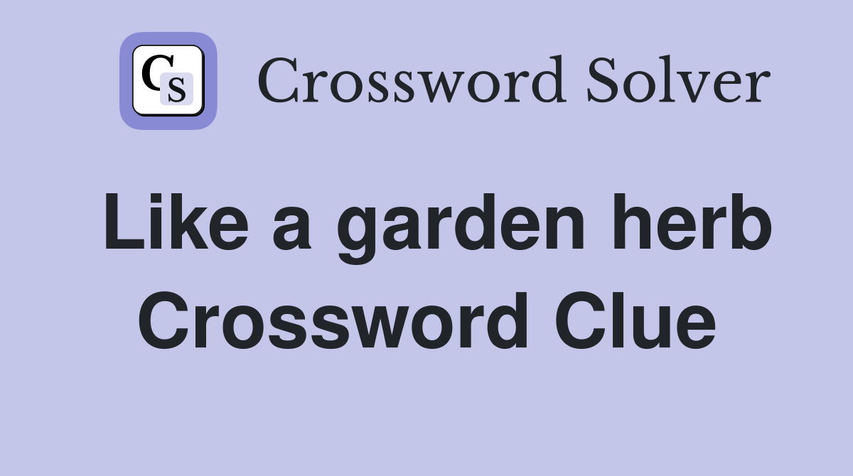 Like a garden herb Crossword Clue