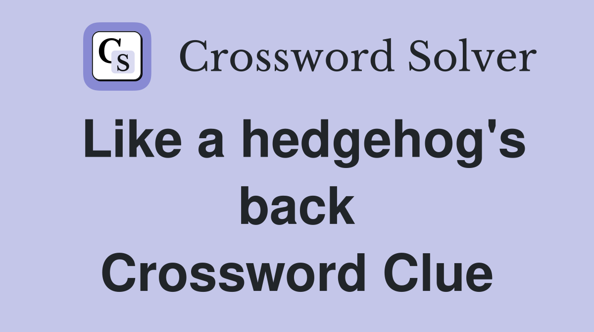 Like a hedgehog's back Crossword Clue