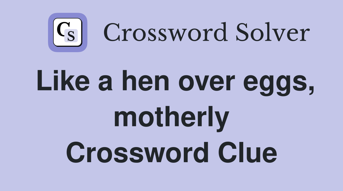 Like a hen over eggs, motherly Crossword Clue