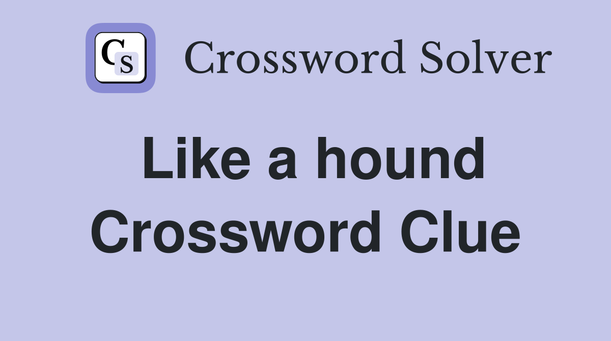Like a hound Crossword Clue