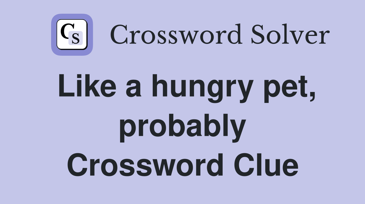 Like a hungry pet, probably Crossword Clue