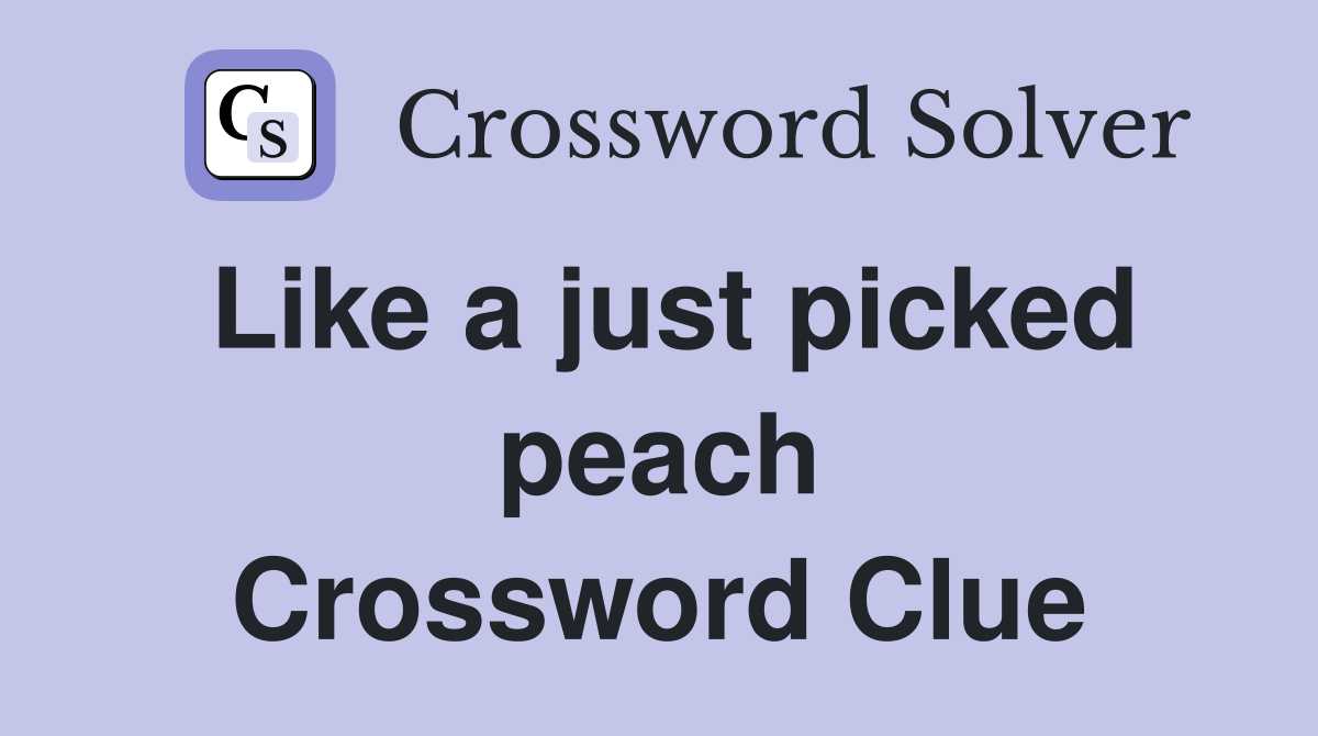 Like a just picked peach Crossword Clue