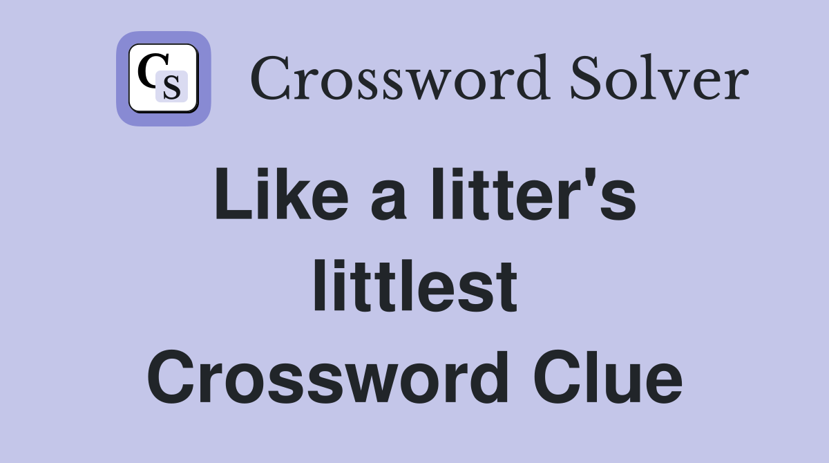 Like a litter's littlest Crossword Clue