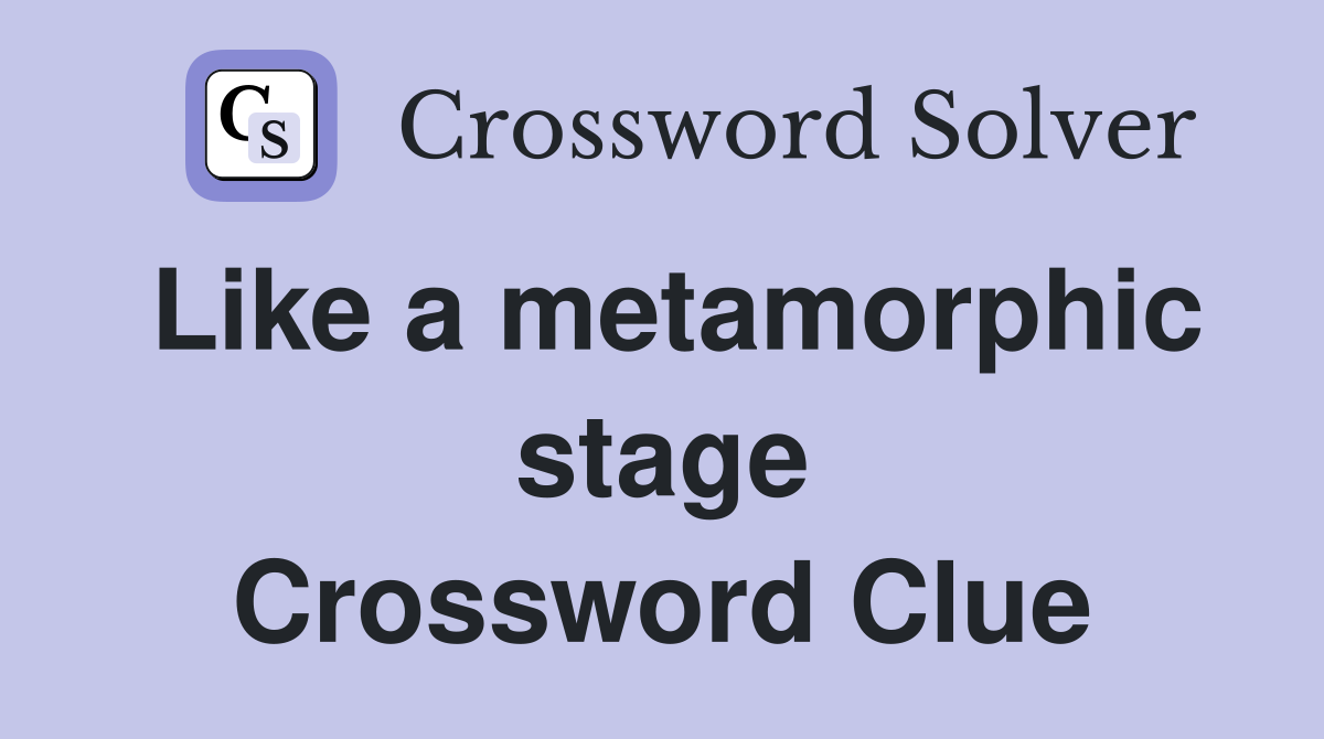 Like a metamorphic stage Crossword Clue