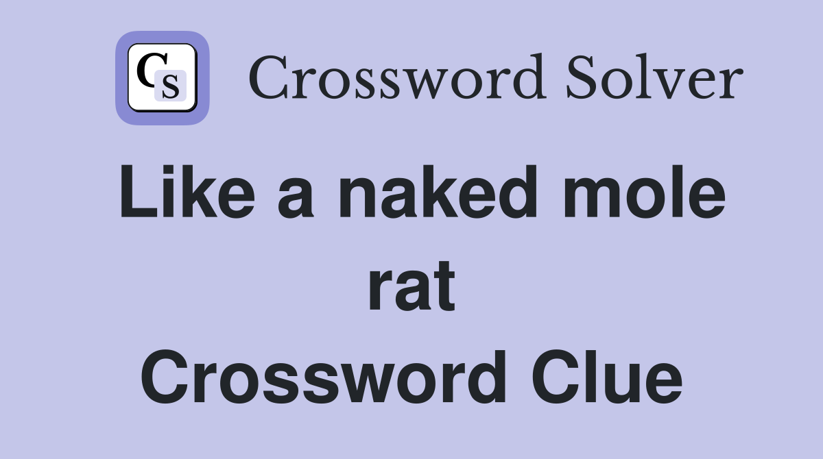 Like a naked mole rat Crossword Clue