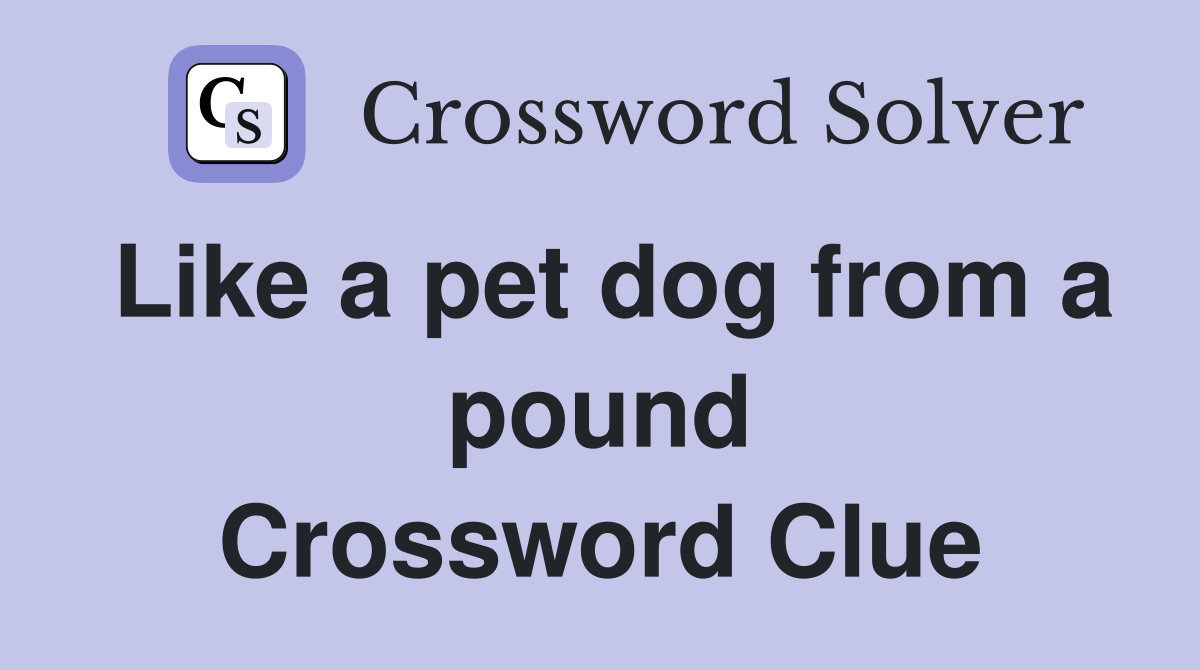Like a pet dog from a pound Crossword Clue