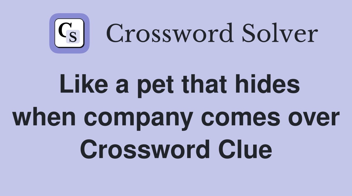Like a pet that hides when company comes over Crossword Clue