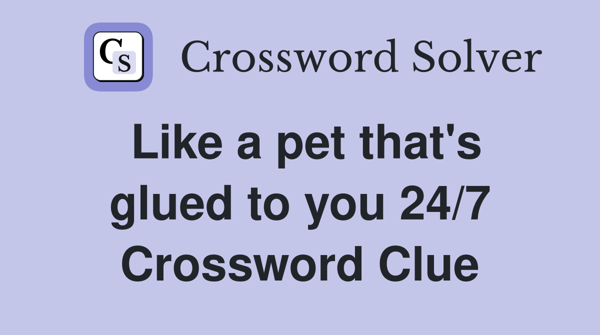 Like a pet that's glued to you 24/7 Crossword Clue