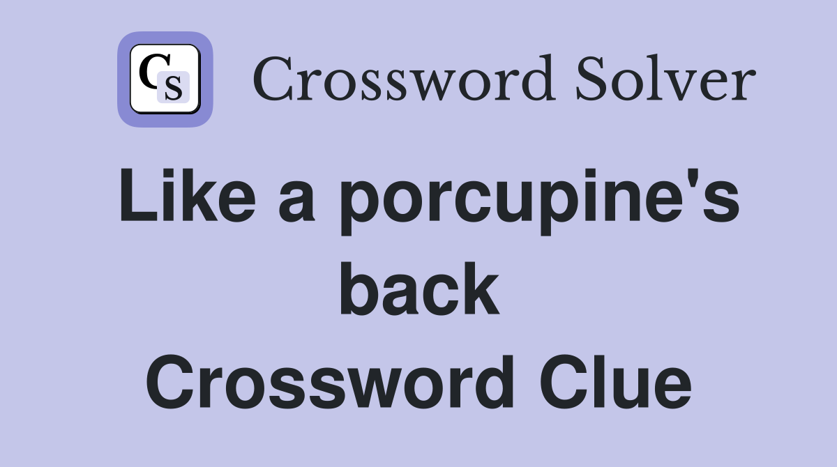 Like a porcupine's back Crossword Clue