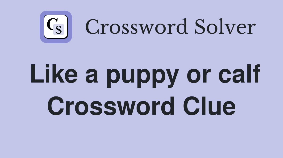 Like a puppy or calf Crossword Clue