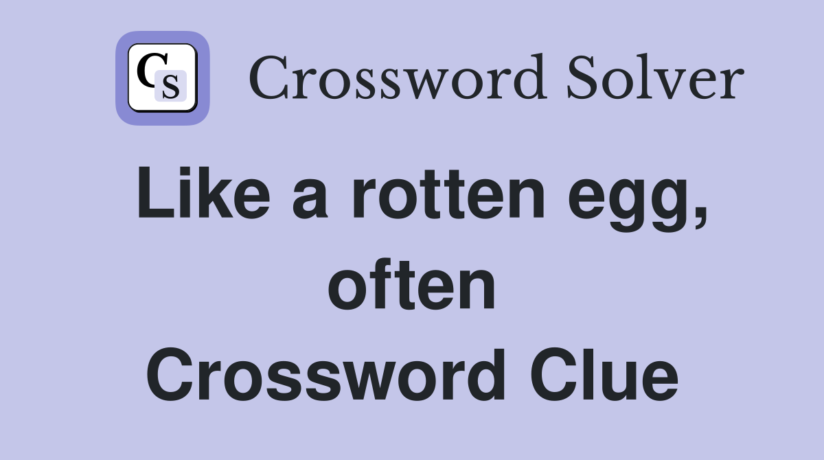 Like a rotten egg, often Crossword Clue