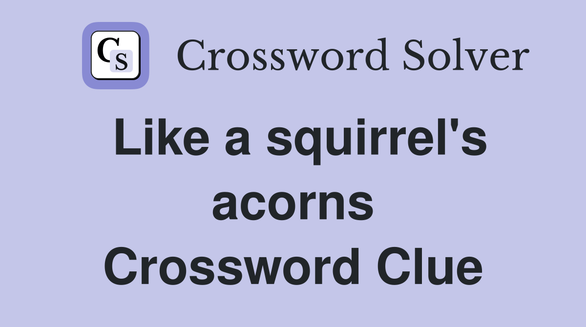 Like a squirrel's acorns Crossword Clue