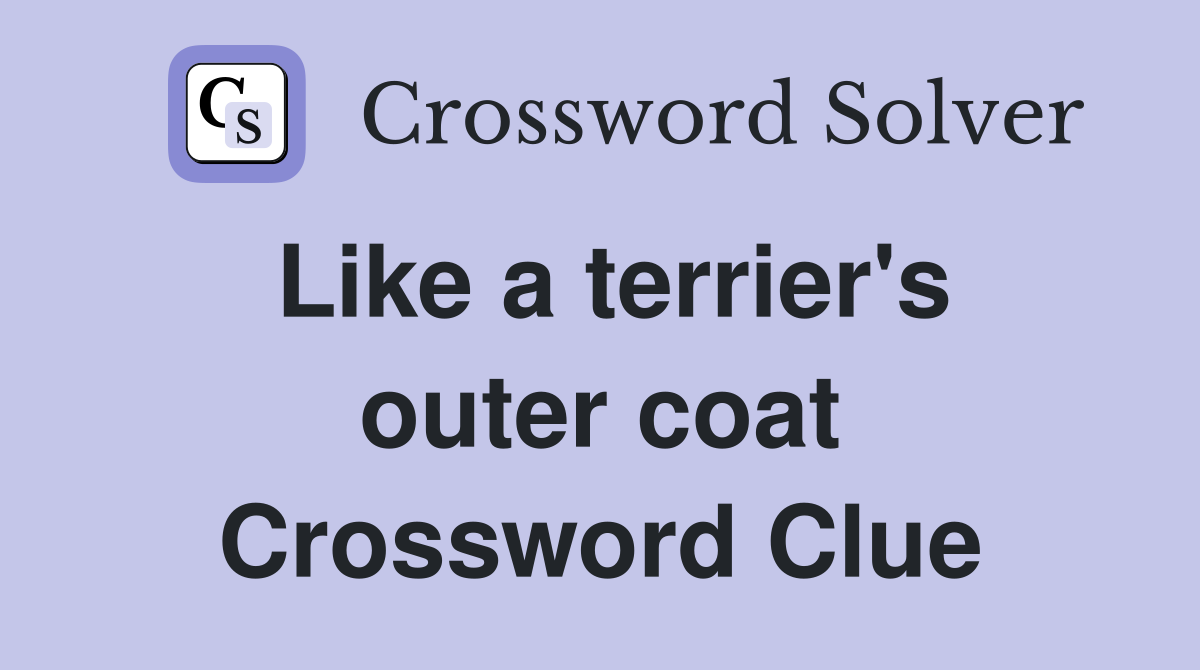 Like a terrier's outer coat Crossword Clue